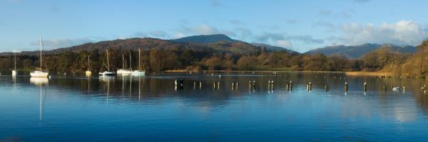 8. The Ryebeck