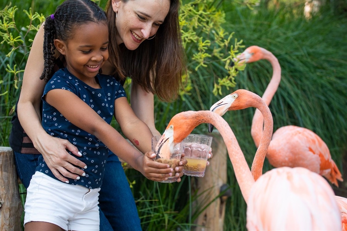 Visit the Palo Alto Junior Museum and Zoo