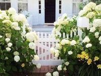 Rustic Farmhouse Garden