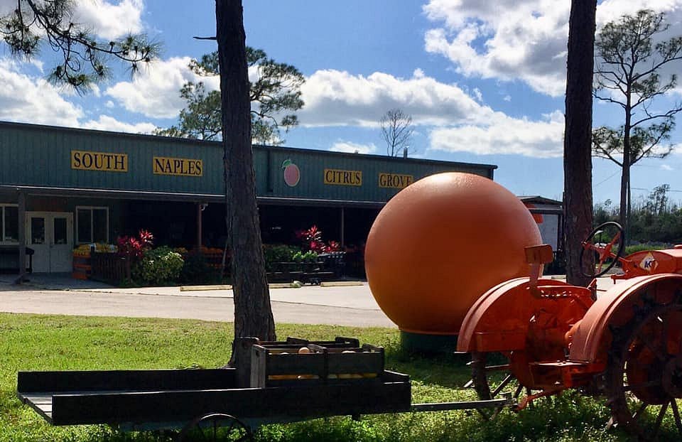 Lemon Grove Farmers Market