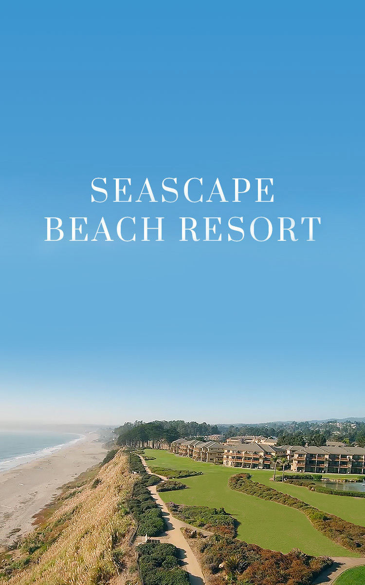 Beachfront Retreat
