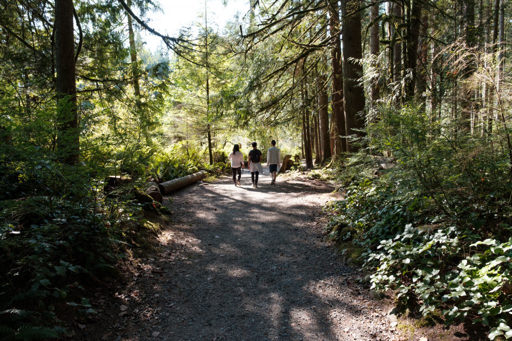 Lynn Canyon Park