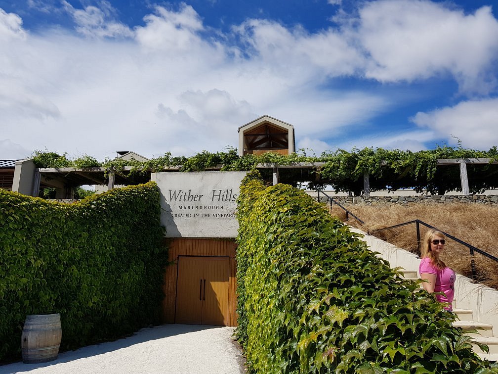 Discover the Wither Hills Farm Park