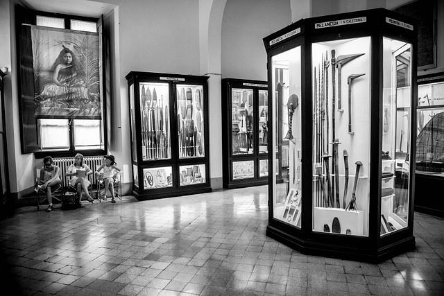 Museo di Storia Naturale