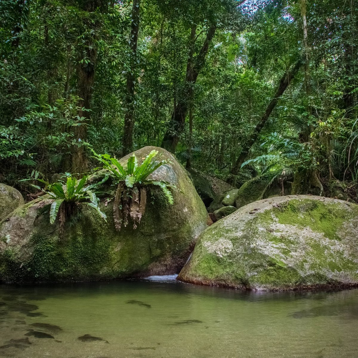 Day 4: Nature Walks and Wildlife Encounters
