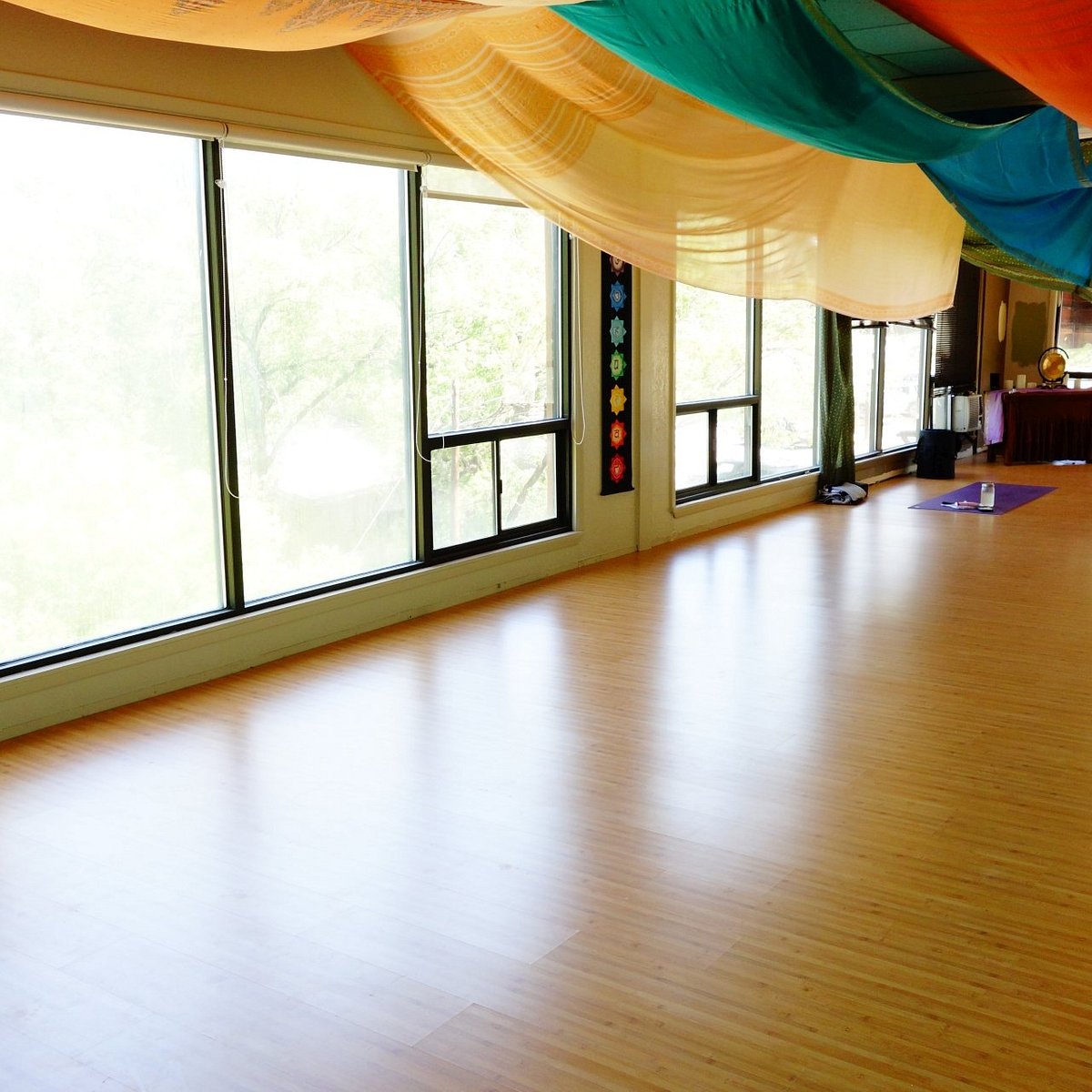 Day 5: Yoga and Wellness