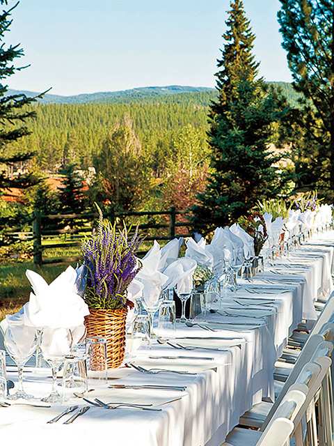 7. Paws & Paths Resort