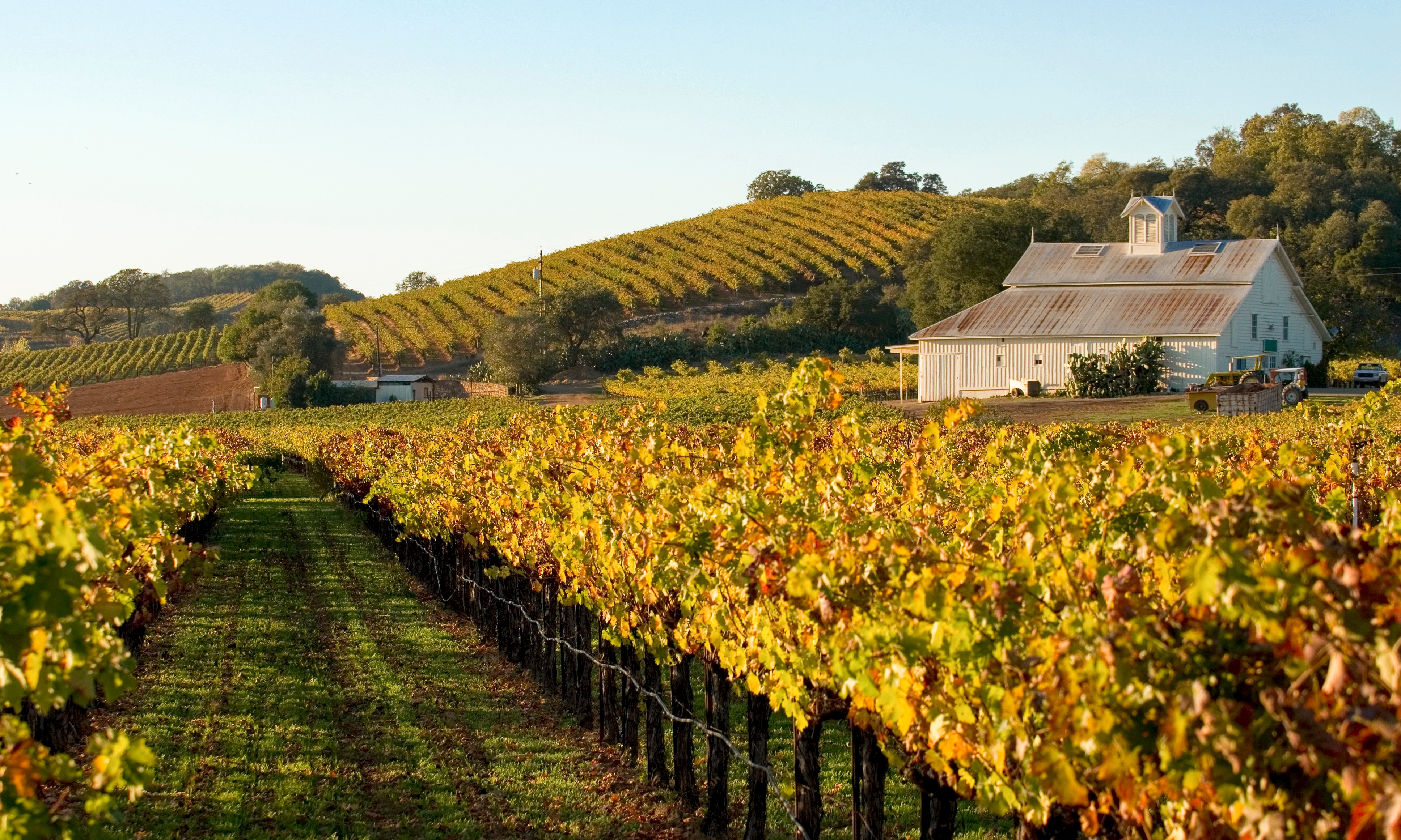 7. Apartamento con jardín privado en Napa Valley