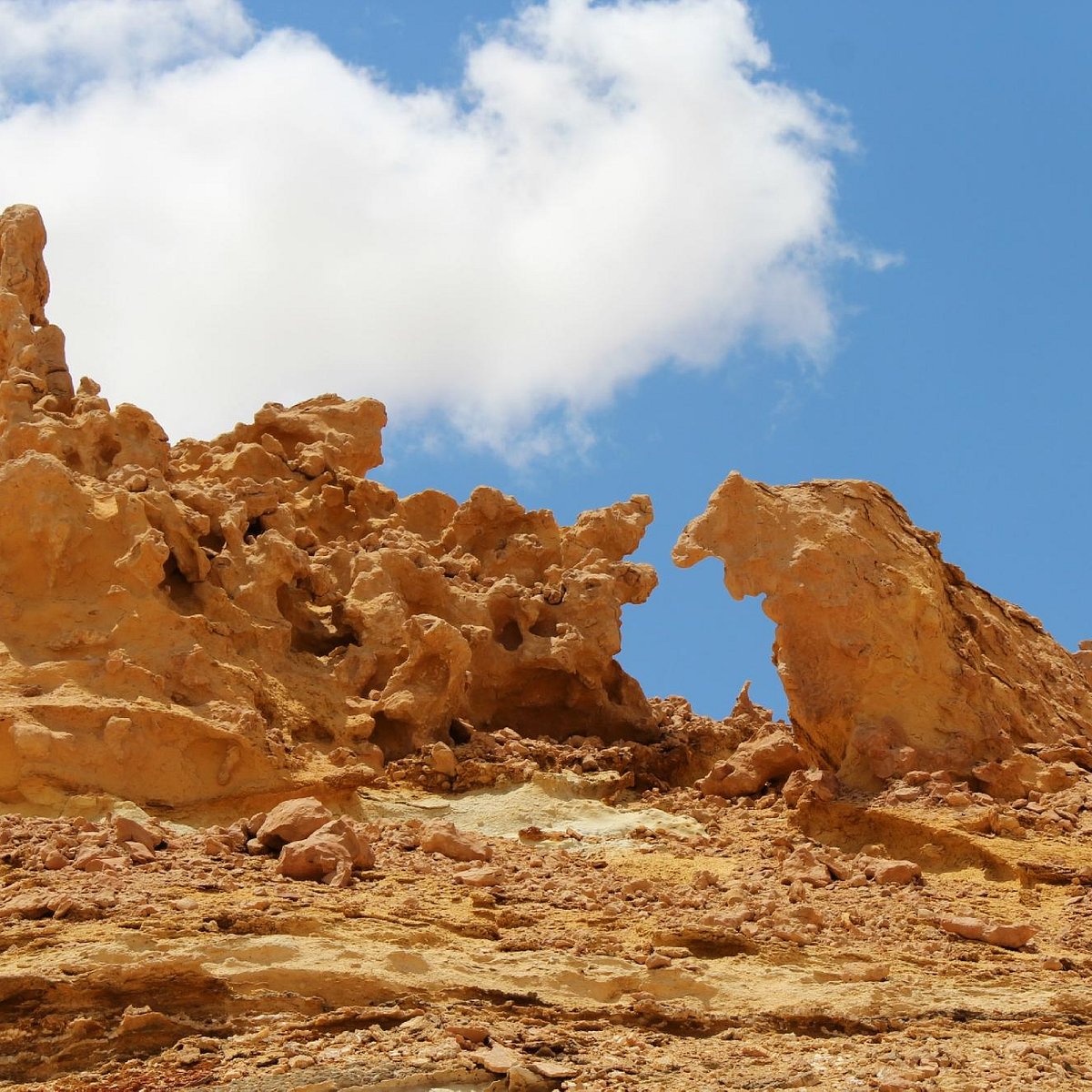 Wadi El-Hitan