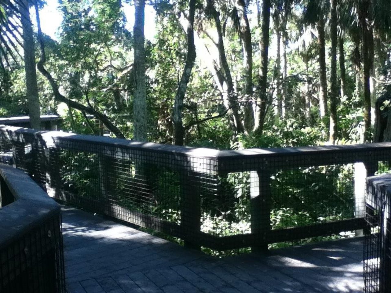 Relax at the Coral Springs Museum of Art