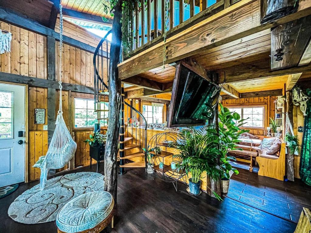 Eco-Friendly Haven