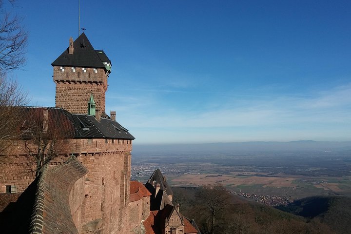 Day 6: Haut-Koenigsbourg Castle and Wine Tasting