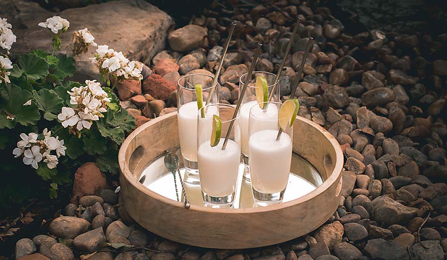 Pisco Sour