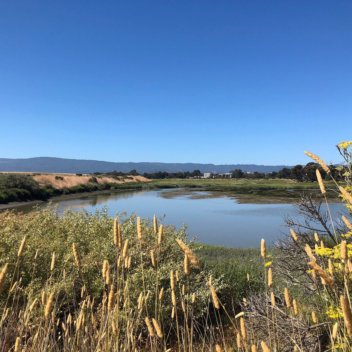 Palo Alto Baylands Nature Preserve Parking