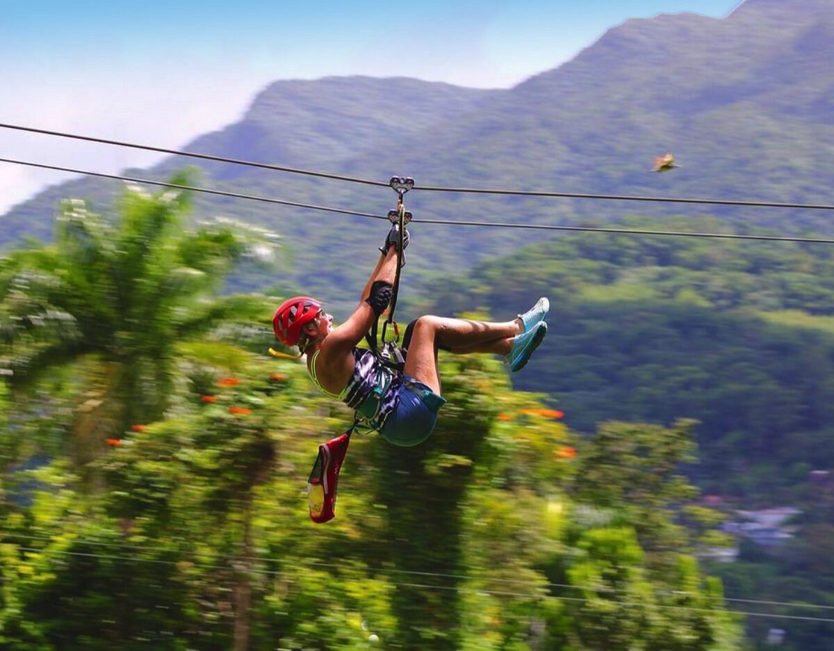 Jungle Hiking and Zip-lining