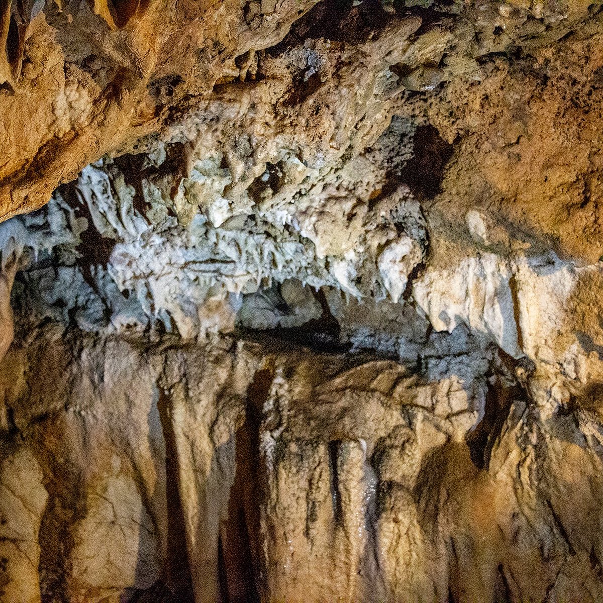 Day 4: Visit the Biserujka Cave