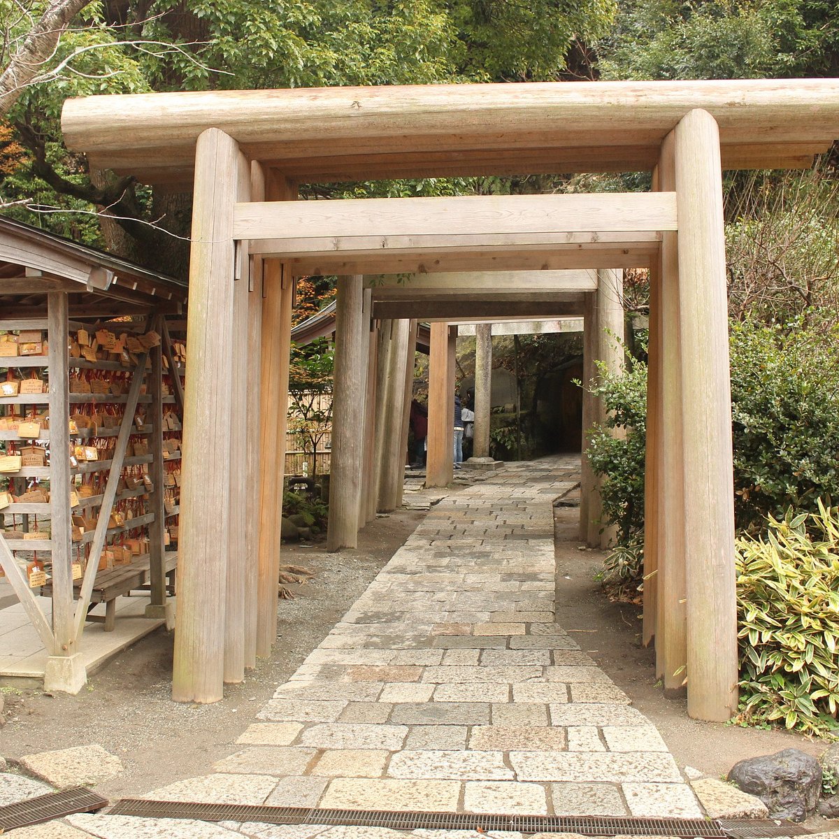 Visit the Zeniarai Benzaiten Ugafuku Shrine