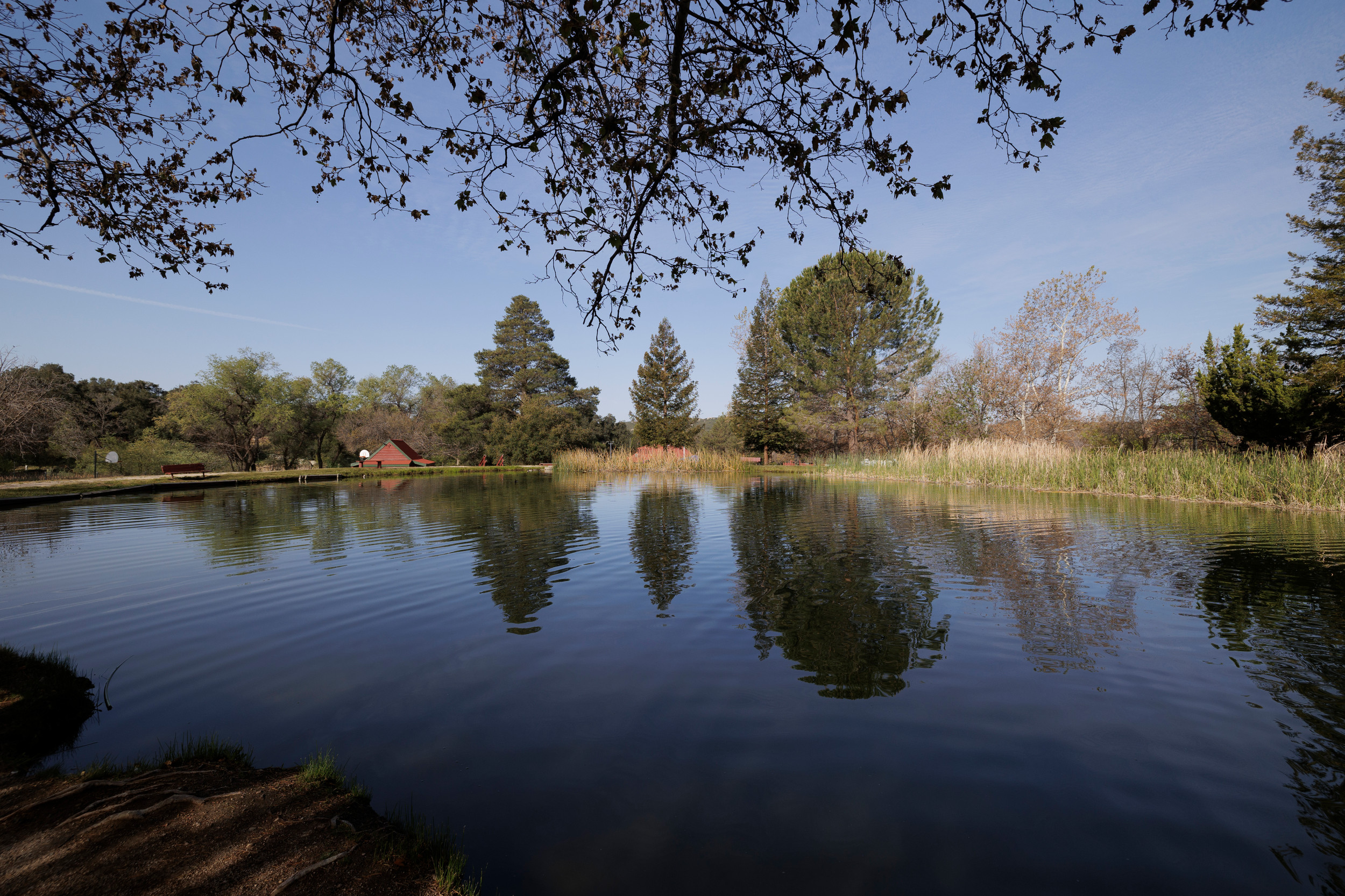 Silence Valley Resort
