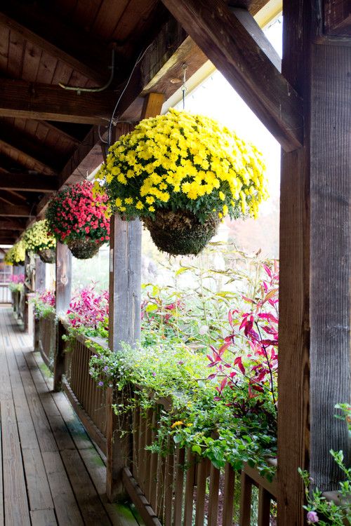 Enhance Your Garden's Appeal with a Tree Branch Coat Rack