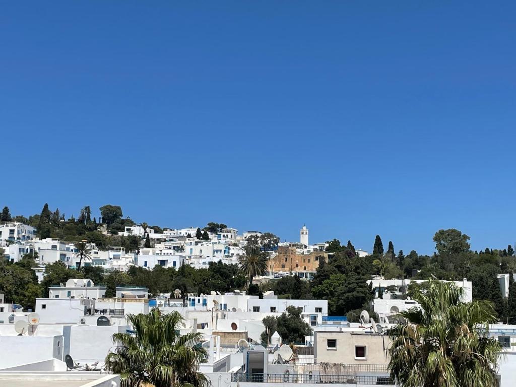 Charming Apartment in Sidi Bou Said