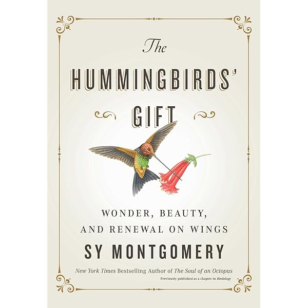 Wings of Wonder Women's Birdwatching Socks