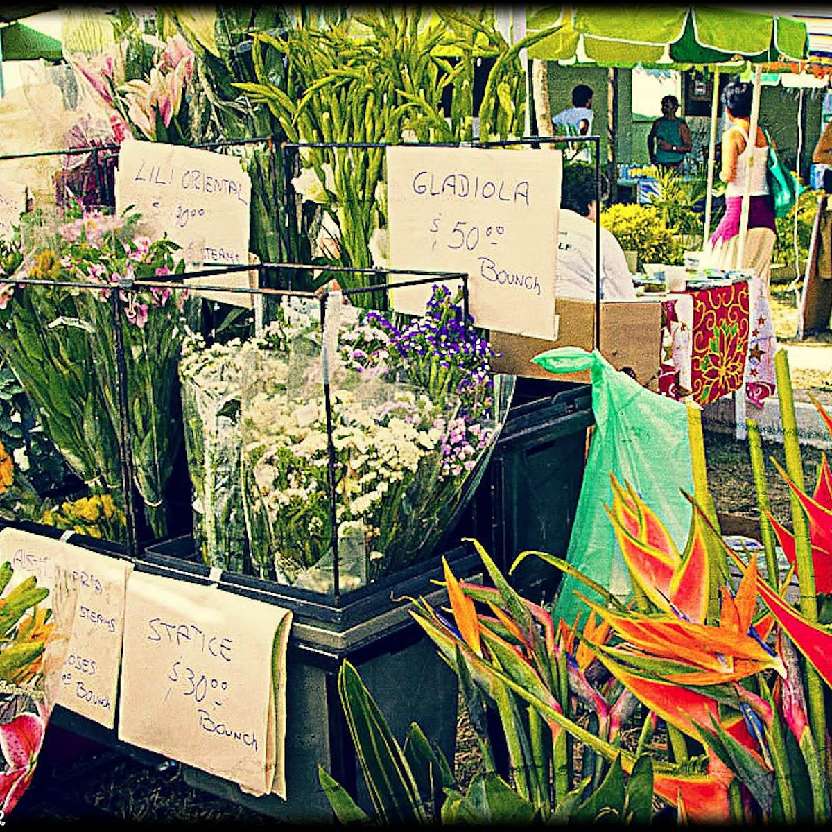 Sayulita Farmers Market