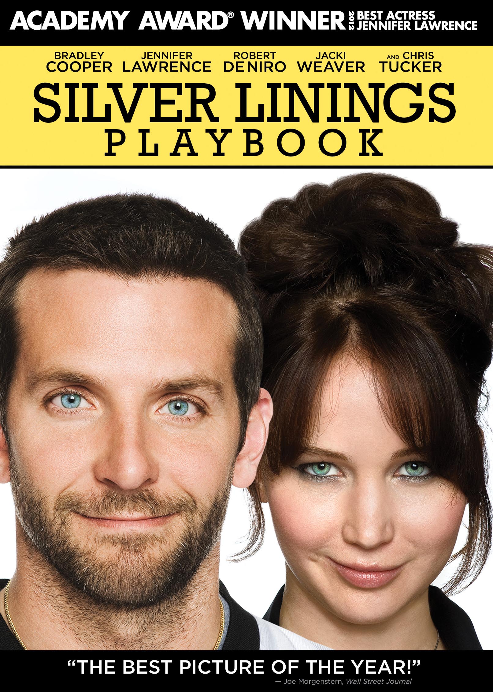 The Silver Linings Playbook