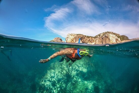 Day 4: Marietas Islands Tour