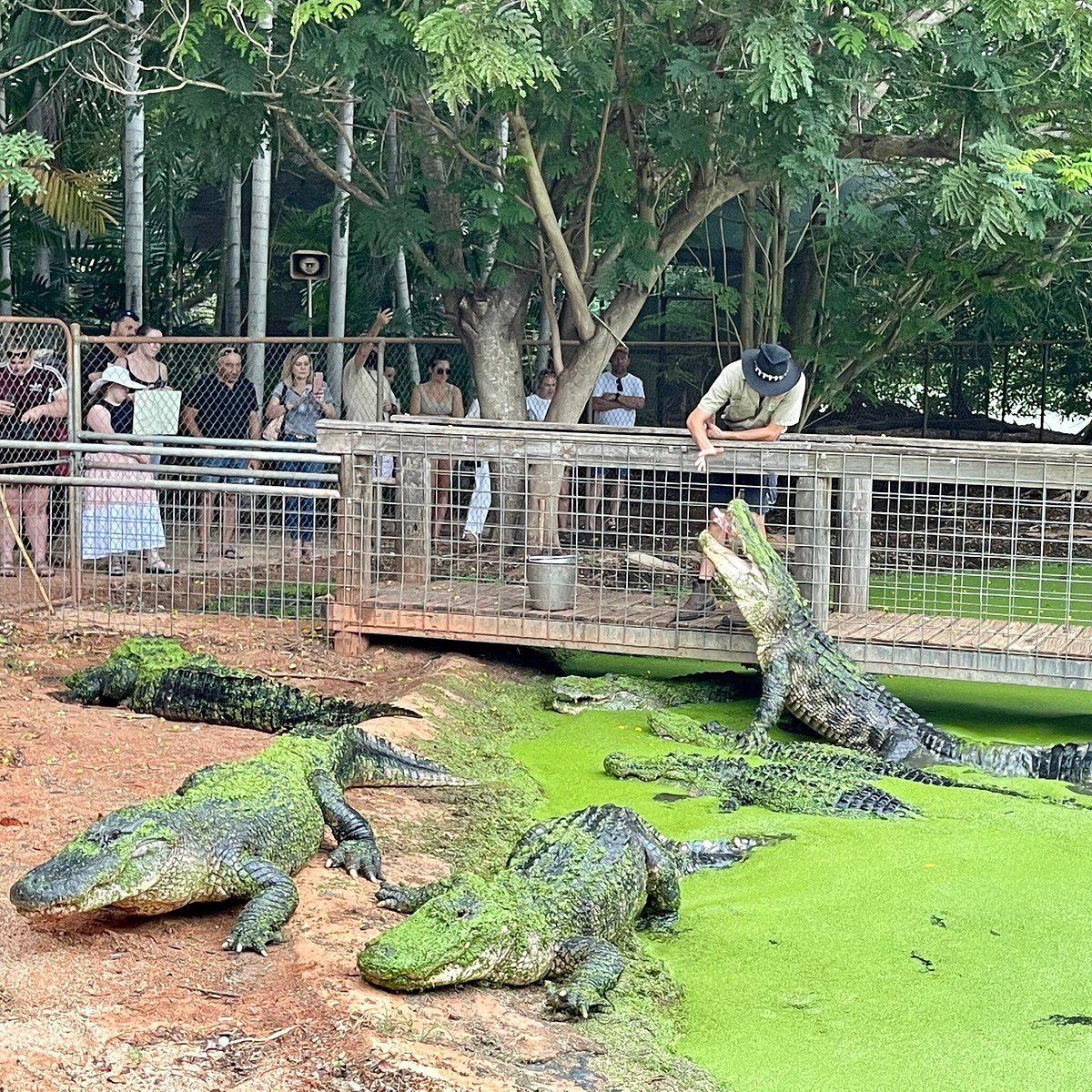 Malcolm Douglas Crocodile Park