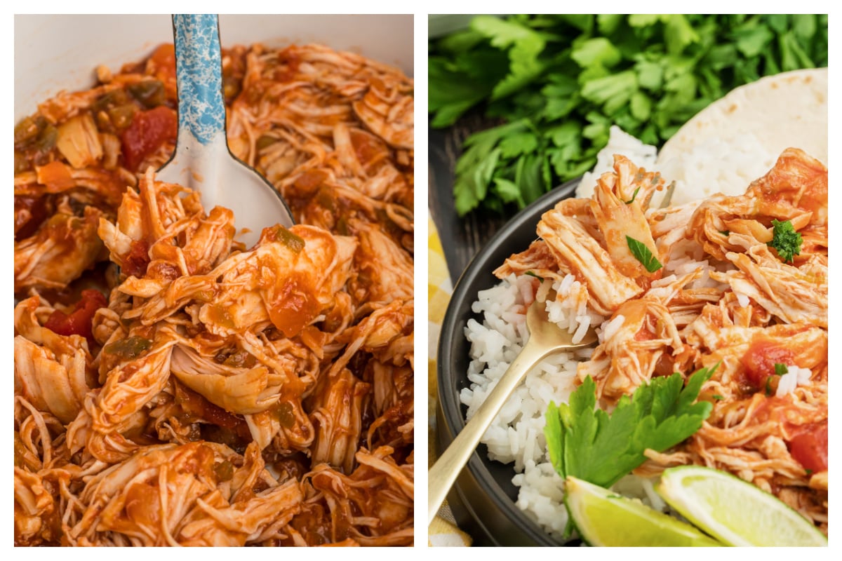 Salsa Chicken