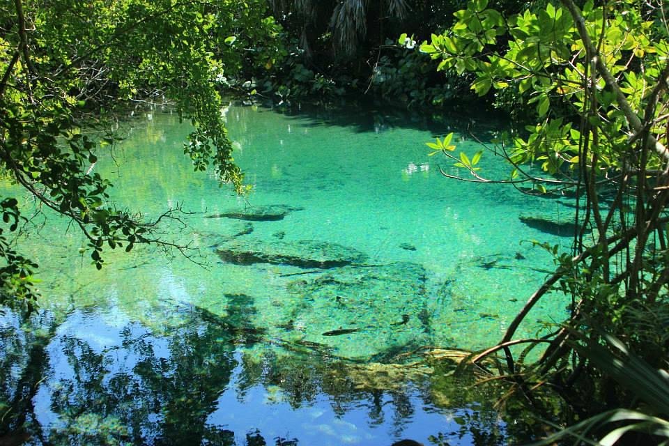 Visit the Indigenous Eyes Ecological Park