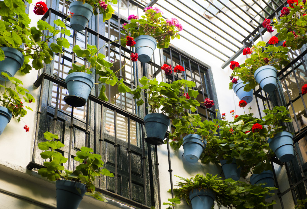 Hotel Sallés Hotel Málaga Centro