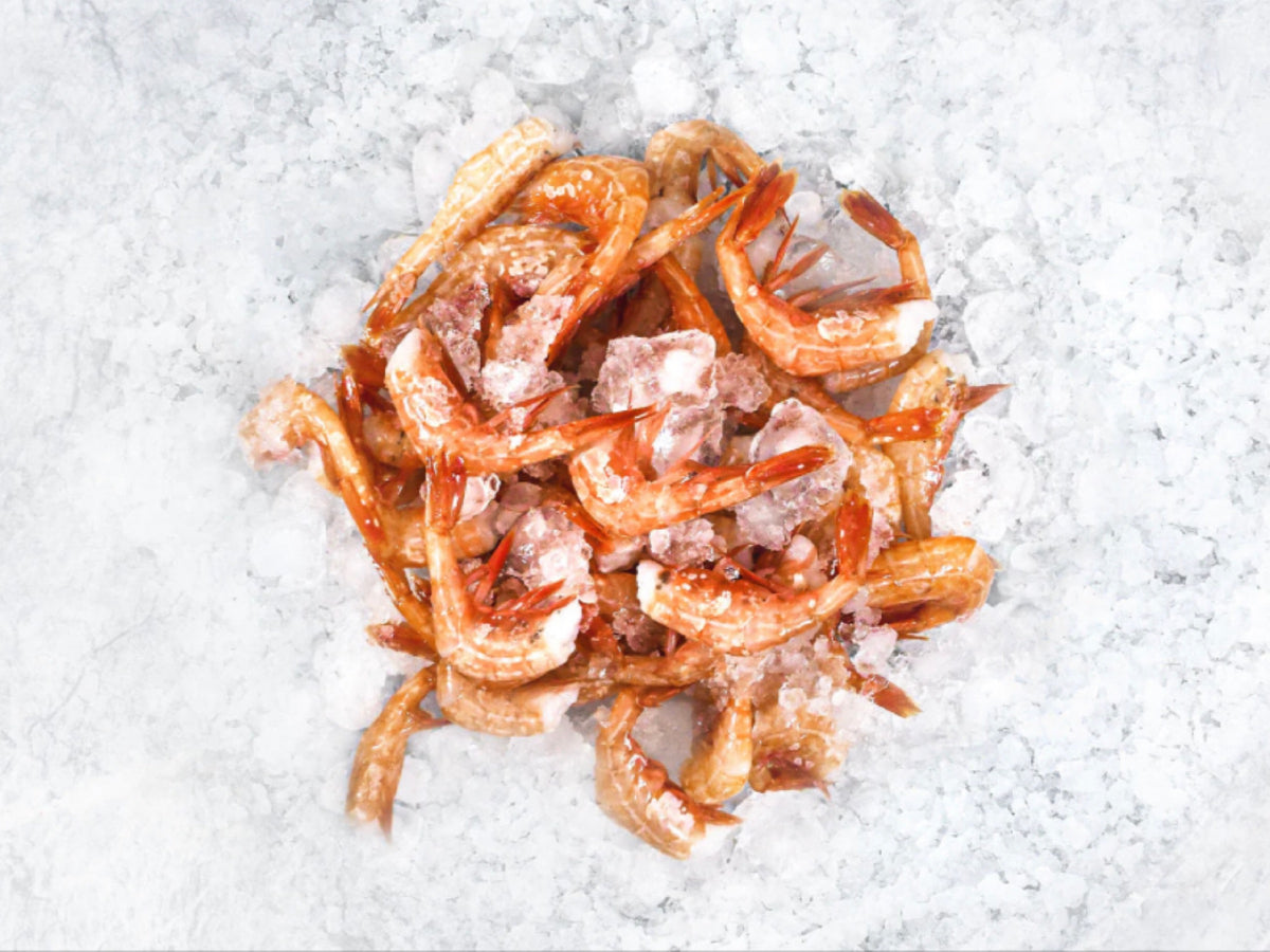 Botan Ebi Ceviche