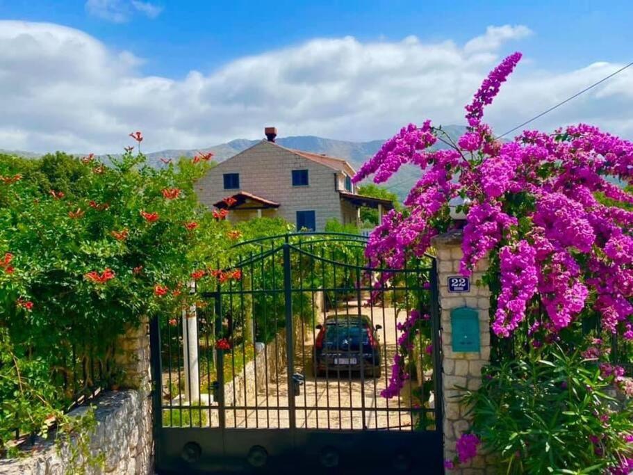 Villa Dubrovacka