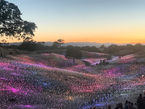 Art and Culture in Paso Robles