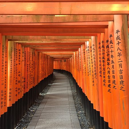 Wander through the Fushimi Inari Shrine