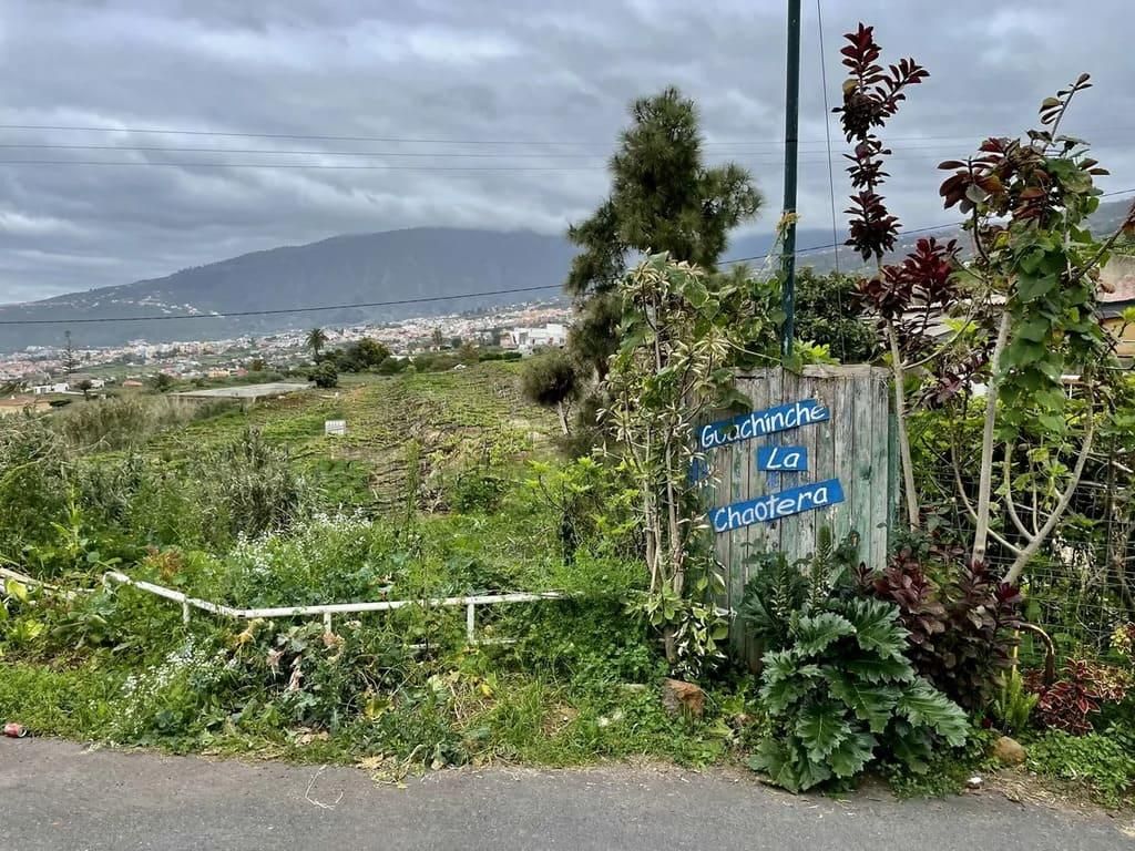 avatar de la lista formado por una sola imagen