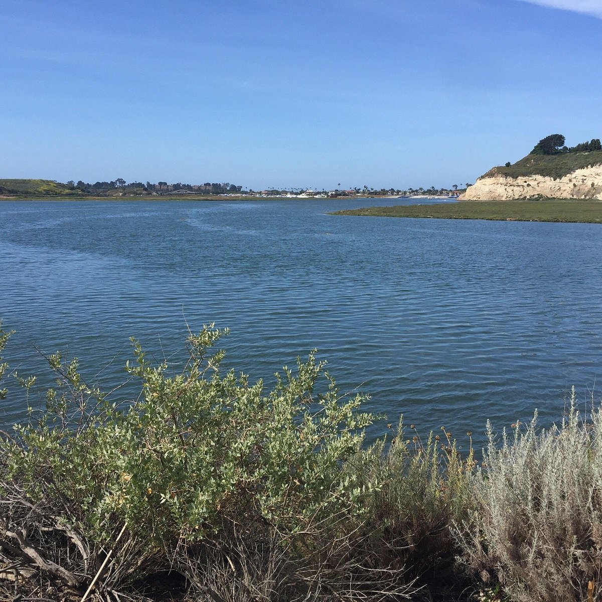 Day 4: Newport Beach Back Bay Nature Preserve