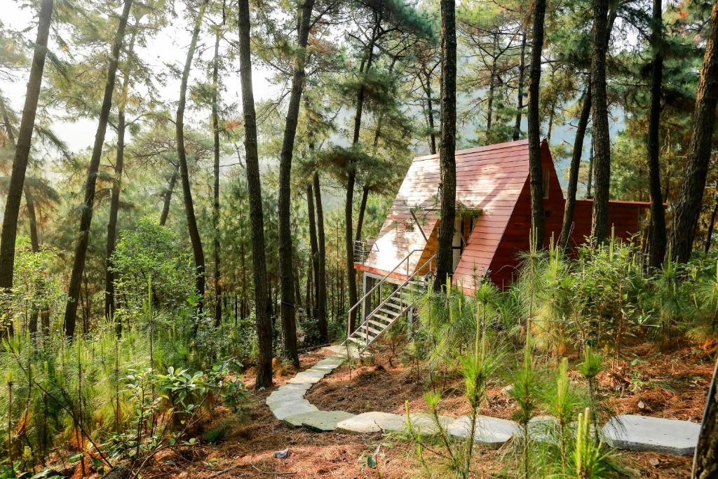 Cat Ba Eco-Lodge