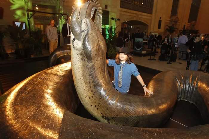 Titanoboa 🐍