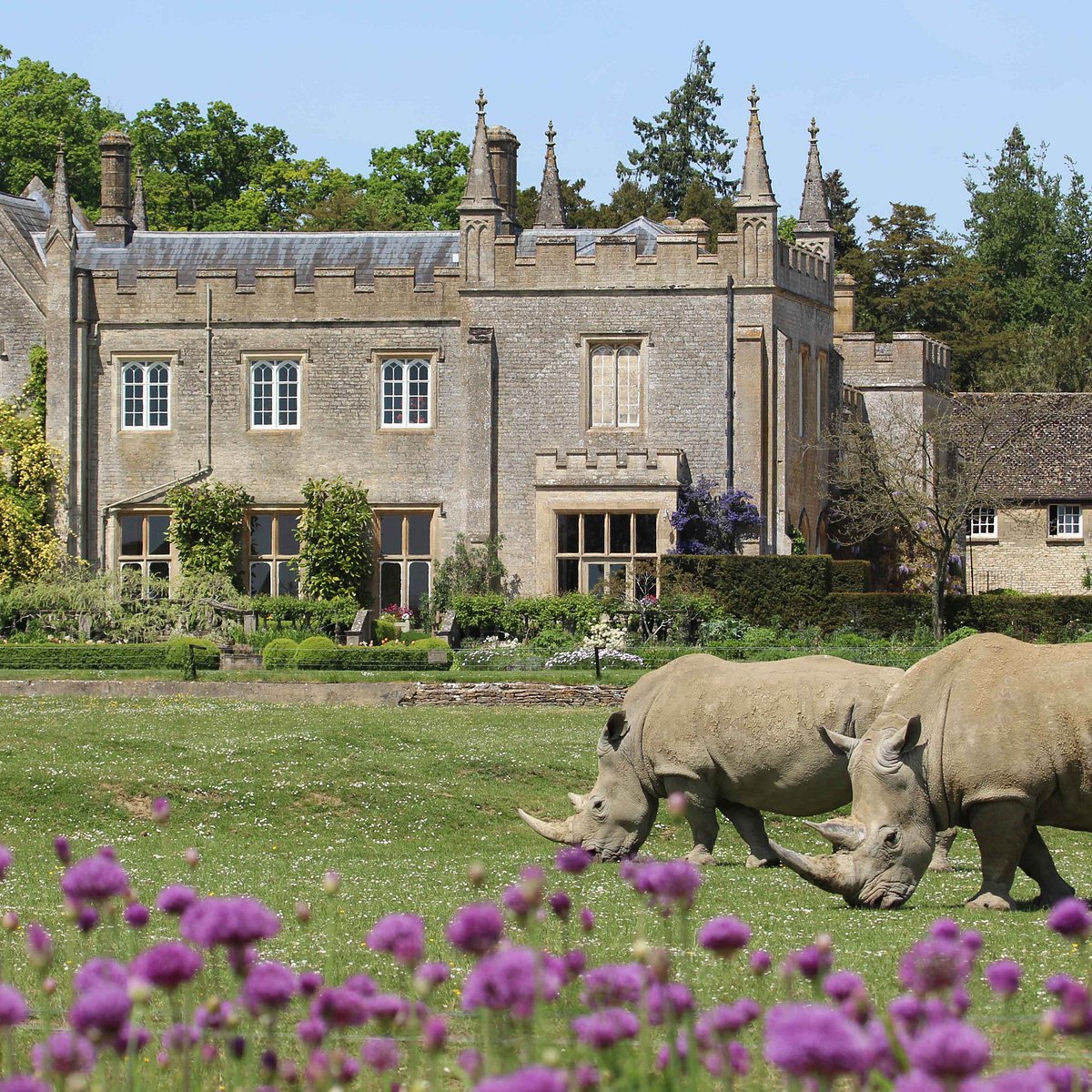Cotswold Wildlife Park