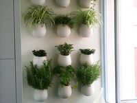 Herb Wall Planter