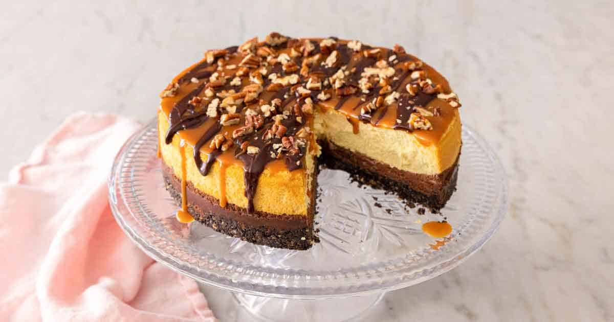 Turtle Cheesecake