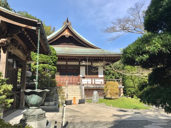 Visit Hokokuji Temple and its Bamboo Garden