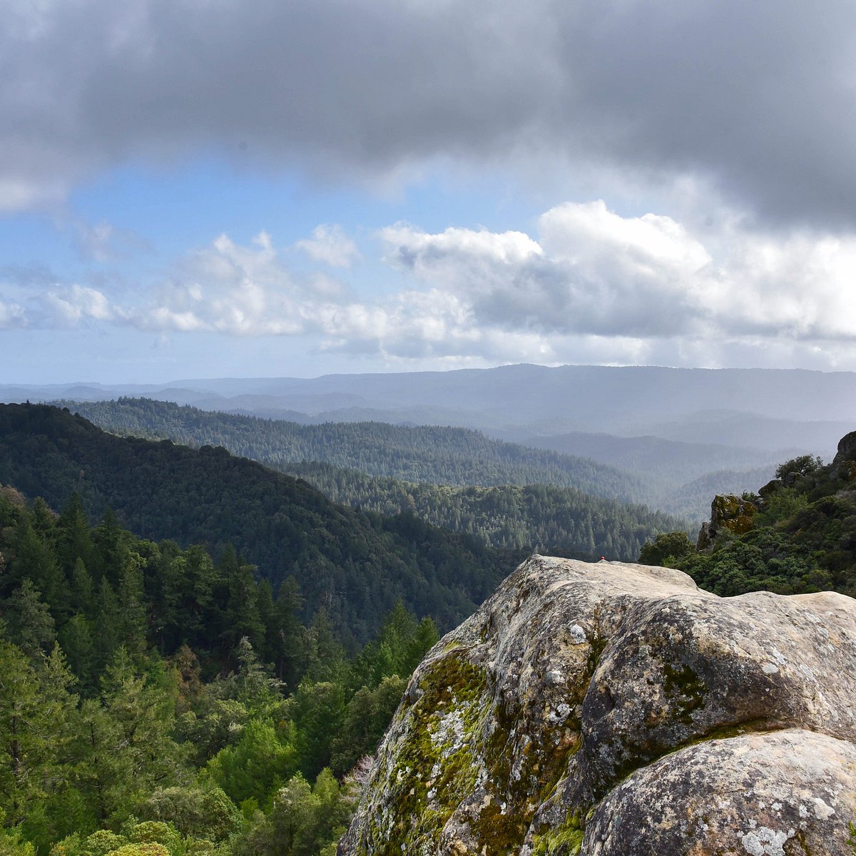 Explore the Santa Cruz Mountains