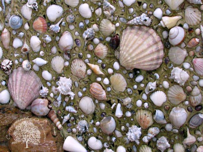 Enhance Your Garden with Seashell Mosaic Fountains