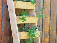 4. Vertical Vegetable Garden