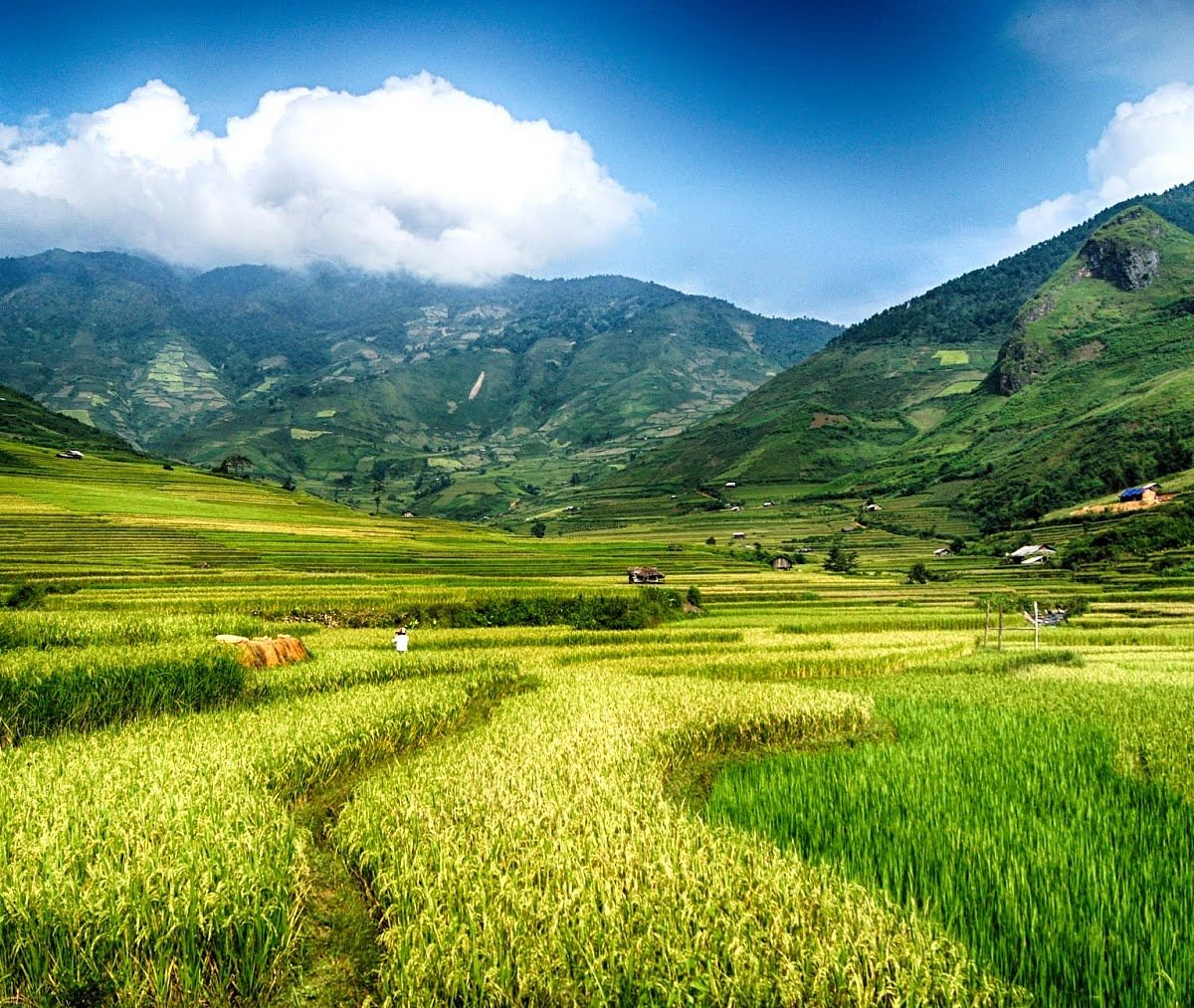 Trekking in the A Pa Chai Border Area