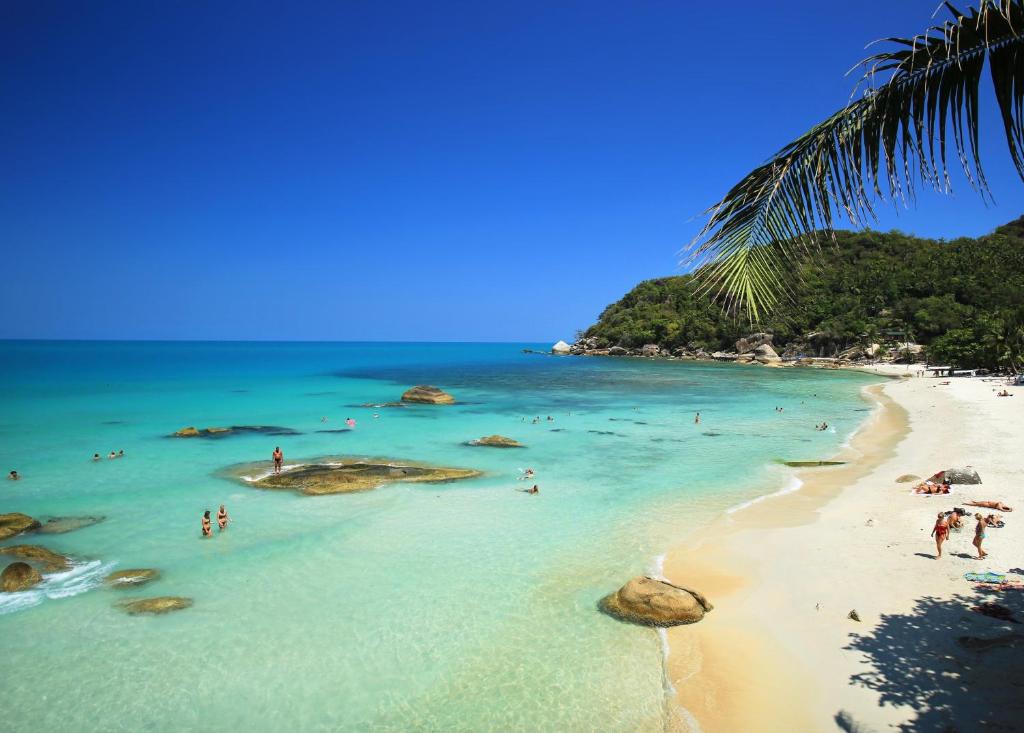 Parque de serpientes Samui