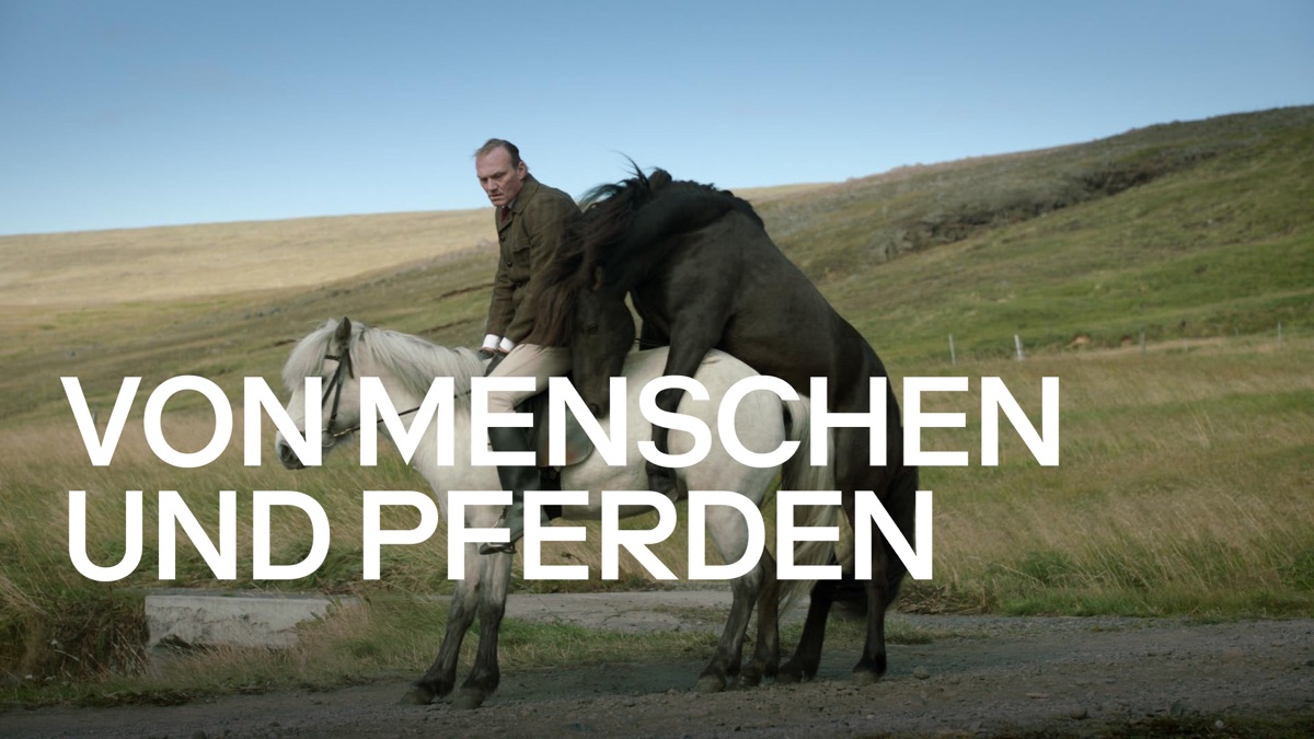 Of Horses and Men